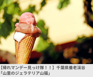 ソフトクリーム養老渓谷
