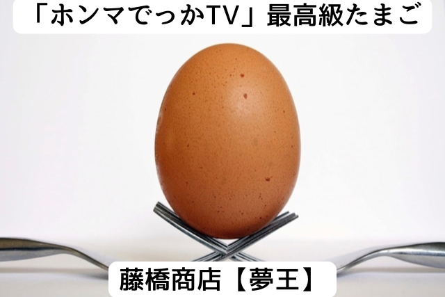 ホンマでっかTVで紹介された高級ブランド卵「夢王」