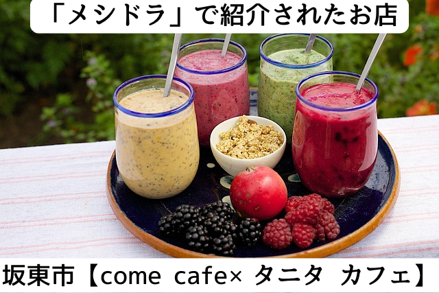 メシドラで紹介された坂東市の「come-cafe &タニタカフェ」