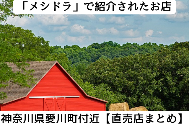 メシドラで紹介された神奈川県愛川町付近の直売店