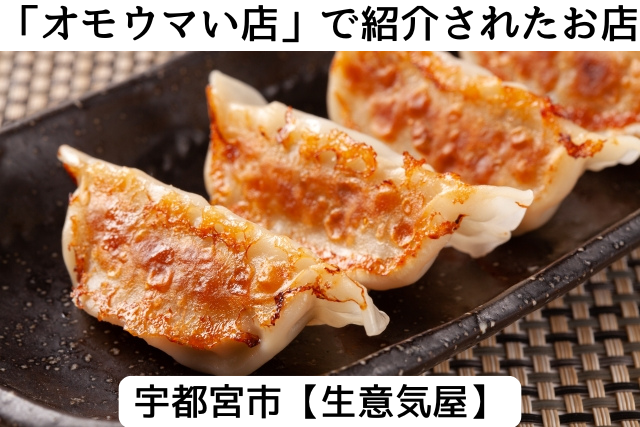 オモウマい店で紹介された宇都宮市の「生意気屋」