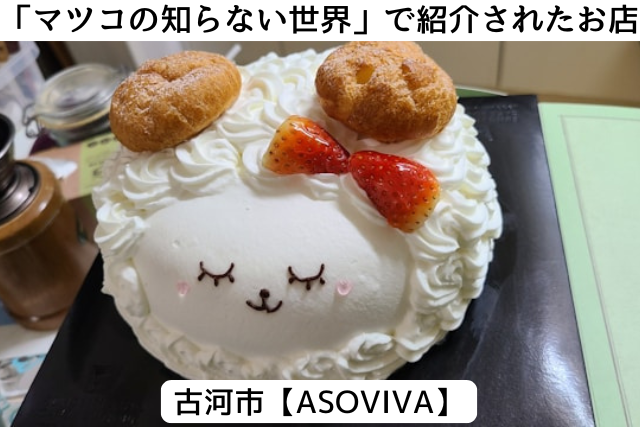 マツコの知らない世界で紹介された古河市の「asoviva」