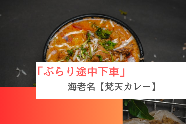 ぶらり途中下車で紹介された海老名の「梵天カレー」