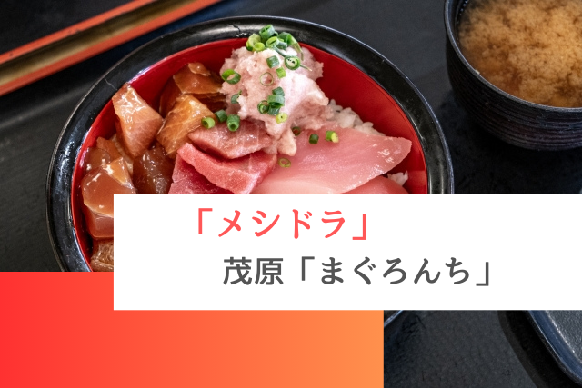 メシドラで紹介された茂原の「まぐろんち」