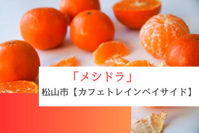 メシドラで紹介された松山市の「カフェトレインベイサイド」