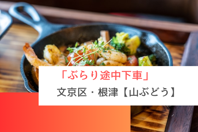ぶらり途中下車で紹介された千代田線・根津の「山ぶどう」