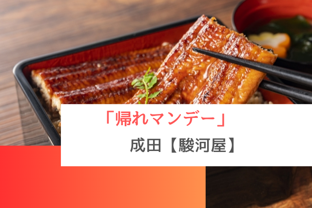 帰れマンデーで紹介された成田の「駿河屋」