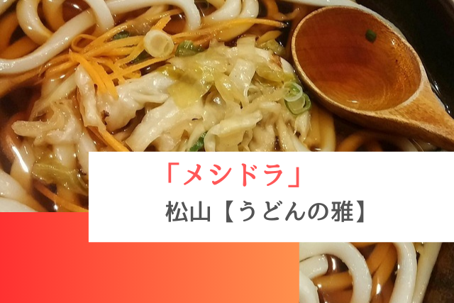 メシドラで紹介された松山の「うどんの雅」