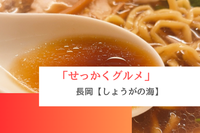 せっかくグルメで紹介された長岡の「しょうがの海」