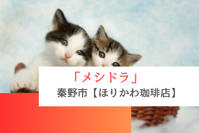 メシドラで紹介された秦野市の「ほりかわ珈琲店」